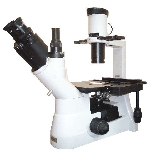 PB-403I Inverted Biological Microscope, Compensation free Trinocular Head. Inclined at 45°