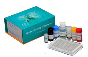 Human hepatitis B virus surface antigen,HBsAg ELISA Kit , 96T