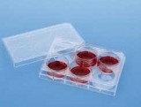 >Tissue Culture Products