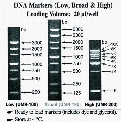 DNA MARKER (BROAD RANGE) 1 ml